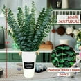 thumbnail image 4 of GoXteam 20PCS Real Dried Eucalyptus for Shower Hanging Decor- 17'' Large Eucalyptus Stems Shower Plants from Fresh Eucalyptus Leaves for DIY, Shower, Shower Stuff Home Bathroom Vase Decor, 4 of 7