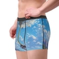 thumbnail image 2 of Pofeuu Dandelion Hot Air Balloon Print Men’s Boxer Briefs, Moisture-Wicking Underwear, Regular,Trunk-Large, 2 of 5