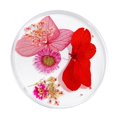 thumbnail image 3 of Decoración 3D Zulema Flores Secas Naturales Para Uñas Acrílicas, 3 of 5