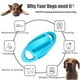 thumbnail image 5 of Pelotas chirriantes de juguete para perros resistentes a las mordeduras, juguetes interactivos para mascotas, ejercicio Azul, 5 of 8