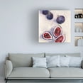 thumbnail image 3 of Melissa Wang 'Figs in Oil II' Canvas Art, 3 of 3