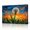 B, variant on XaaKee Elegant Dandelion Seed Head Canvas Wall Art Modern Turbulent Meadow Field Art Prints Inner Framed 18*12Inch
