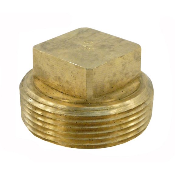 Raypak 013738F Unitherm Governor Plug for Digital Heaters