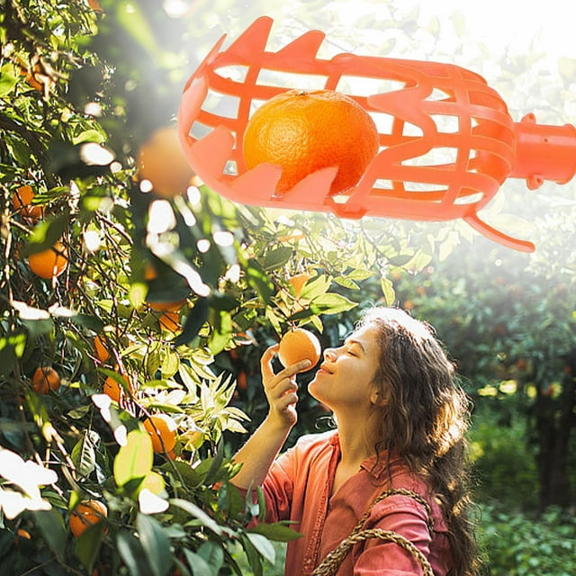 Xihbxyly Cesta para Recolectar Frutas, Herramienta Fácil de Usar para La Cosecha En El Huerto, Accesorio de Poste Personalizable, Recolección Rápida y Sin Esfuerzo, Perfecta para Peras, Naranjas y Ma