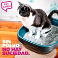 thumbnail image 4 of Arena para Gato ¡Hey Karen! Standard 10 kg, 4 of 5