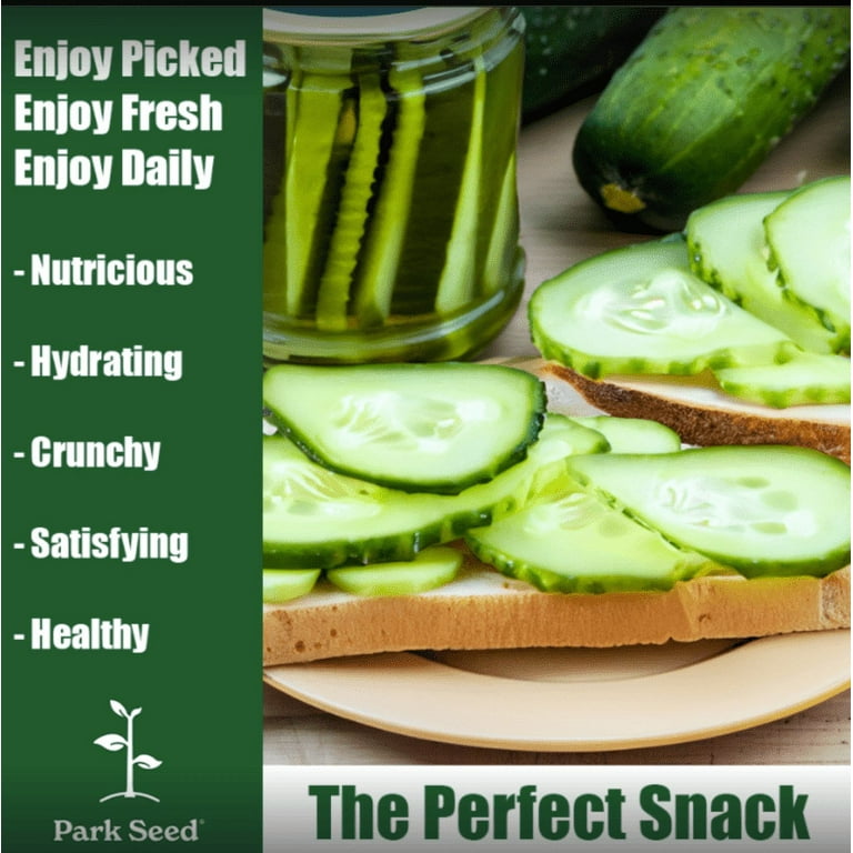 Park Seed Variety of Cucumber Seeds, Planting Cucumbers, Vegetable Seeds,  Easy to Grow, Perfect for Harvesting, F1 Garden Bush Pickle, Pack of 30 -  Walmart.com