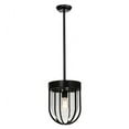 thumbnail image 2 of Meyda Lighting 10'W Jaula Pendant - 145700, 2 of 5