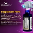 WellnessOne Ionic Potassium Liquid Supplement Mineral Drops for Immune Support & Energy, 50 ml