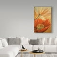 thumbnail image 3 of Trademark Fine Art 'Poppy Duet' Canvas Art by Cherie Roe Dirksen, 3 of 3