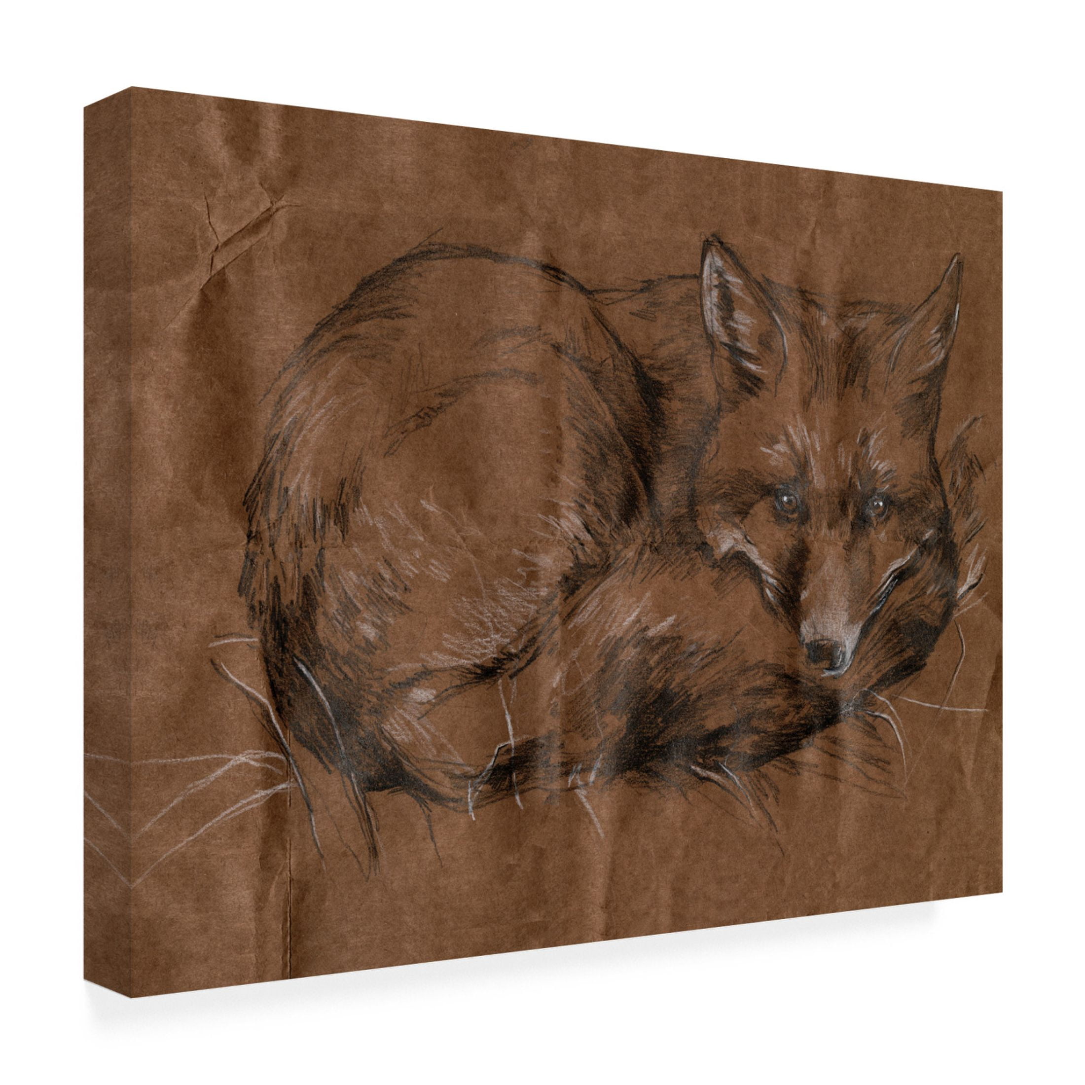 Canvas Wall Art - Jennifer Paxton Parker 'Crafty Fox I' Wall Art for Living Room, Bedroom, or Office Décor by Trademark Fine Art - 32 x 24 Inches