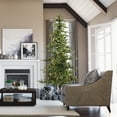 thumbnail image 6 of Vickerman 7' Shawnee Fir Artificial Christmas Tree, Warm White LED Dura-lit Lights, 6 of 6