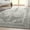 Dark Grey, variant on Well Woven Apollo Tirana Vintage Oriental Red Flatweave 3'3" x 5' Area Rug
