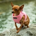 thumbnail image 3 of Mr. Peanut's PupTrek Small Dog/Cat Soft Mesh Step in Harness Vest, 3 of 8