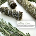 thumbnail image 5 of NY Spice Shop 4 Inch Rosemary and White Sage Bundle - 5 Pack - Sage Smudge Stick - Sage Sticks – Insence, 5 of 7