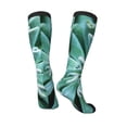 thumbnail image 5 of Lsque Teal Cactus Printed Crew Socks Men's Women's LightWeight Thin Casual Calf Socks ,Knee High Socks,Cotton Socks, 5 of 9