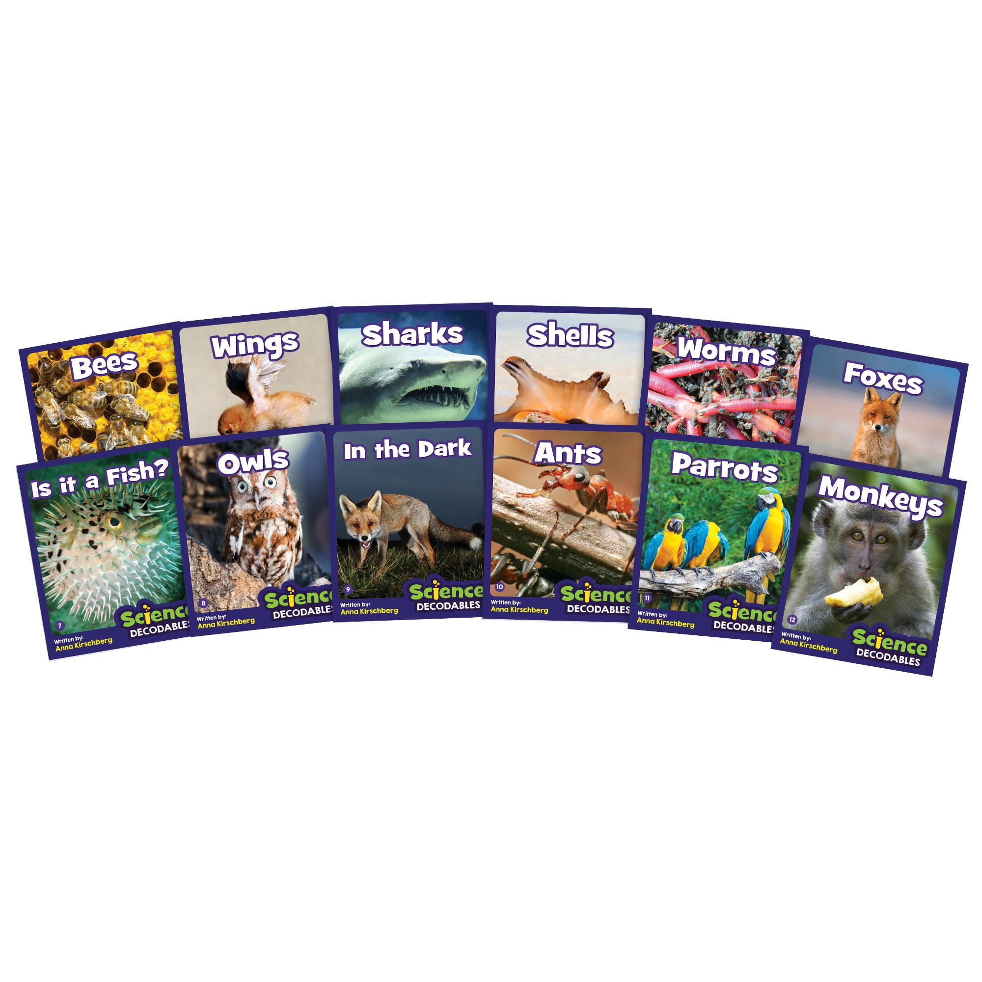 Junior Learning Science Decodables Phase 3 Non-Fiction Educational Learning Set