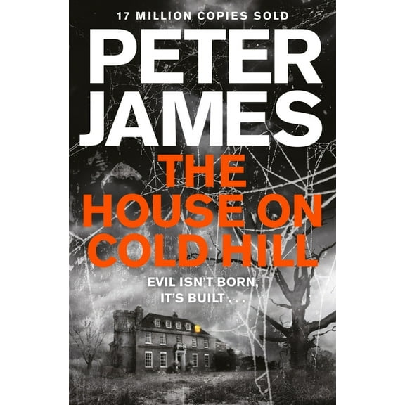 Detective Superintendent Roy Grace: The House on Cold Hill (Paperback)