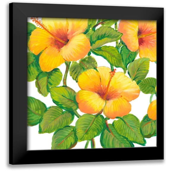 OToole, Tim 12x12 Black Modern Framed Museum Art Print Titled - Watercolor Hibiscus III