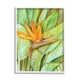 thumbnail image 4 of Stupell Industries Bird of Paradise Flower Leaf Petals Blooming Painting White Framed Art Print Wall Art, Design by Elvira Errico, 4 of 5