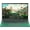 Green, variant on Rumtuk 16" Green Laptop, 16GB RAM, 1TB SSD, Win 11 Pro/Office 2019, Pentium 6500Y, FHD IPS Display, Backlit KB, Fingerprint, USB 3.0, HDMI, WiFi/Bluetooth, Perfect for Work, Study and Play!