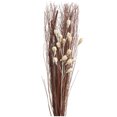 thumbnail image 4 of 40" Handmade Tall Floral Bouquet Dried Plant Natural Foliage Branch Bouquet with Grass Stems, by DecMode, 4 of 7
