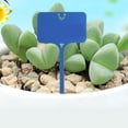 thumbnail image 2 of Lishi Waterproof T-Type Plant Labels - 100pcs for Gardening, 2 of 5