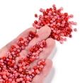 thumbnail image 5 of 1Bag Opaque & Transparent Inside Colours 6/0 Glass Seed Beads Round Hole Round Mixed Color Red 4mm Hole: 1.4~1.5mm, 5 of 6