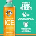 thumbnail image 3 of Sparkling Ice Orange Mango, 17 Oz - Pack of 2, 3 of 5