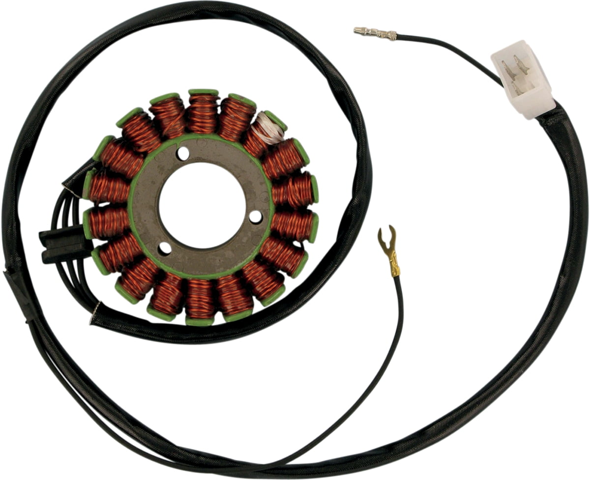 RICK'S MOTORSPORT ELECTRIC Stator 21228