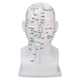 thumbnail image 2 of Acupuncture Point Head Model, Meridians Head Model Decoration Soft  For Massage Shop For Novice, 2 of 8
