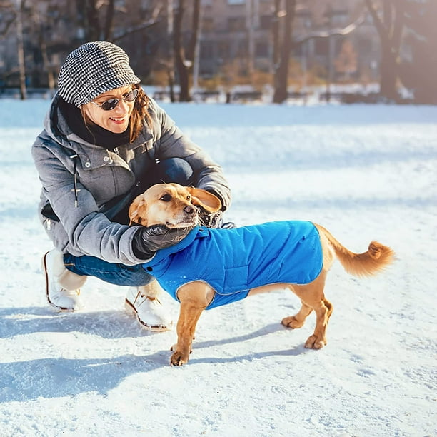 Dog clothes for cold weather sales