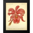 thumbnail image 2 of Goossens, A. 12x14 Black Modern Framed Museum Art Print Titled - Orchid, Catlleya Labiata, 2 of 5