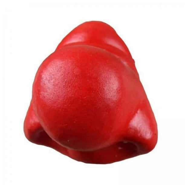 6x Nariz de Rojo, Nariz de Cosplay para Niños Y Adultos, Decoración, Accesorios de Disfraz, Accesorios para Festival, Espectáculo, Fiesta de Baile 6 piezas