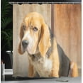 thumbnail image 3 of Ambesonne Funny Shower Curtain, Beagle Dog Animal Theme Print, 69"Wx70"L, Pale Cinnamon Dimgray, 3 of 4
