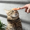 thumbnail image 4 of 6 manos diminutas para gatos, minimanos para gatos, marionetas de dedo interactivas para gatos, manos diminutas suaves para masajes de perros y gatos, miniguantes de juguete para mascotas, 4 of 8