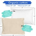 thumbnail image 2 of Hollander Great Sleep Organic Shell Pillow - 300-Thread-Count - 100% Organic Cotton - 4 Count, 2 of 6