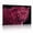 B, variant on XaaKee Hot Pink Rim Light Leopard Canvas Art Prints Modern Panther Canvas Wall Art Neon Backlit Big Cat Canvas Prints Wall Art Inner Framed 18*12Inch