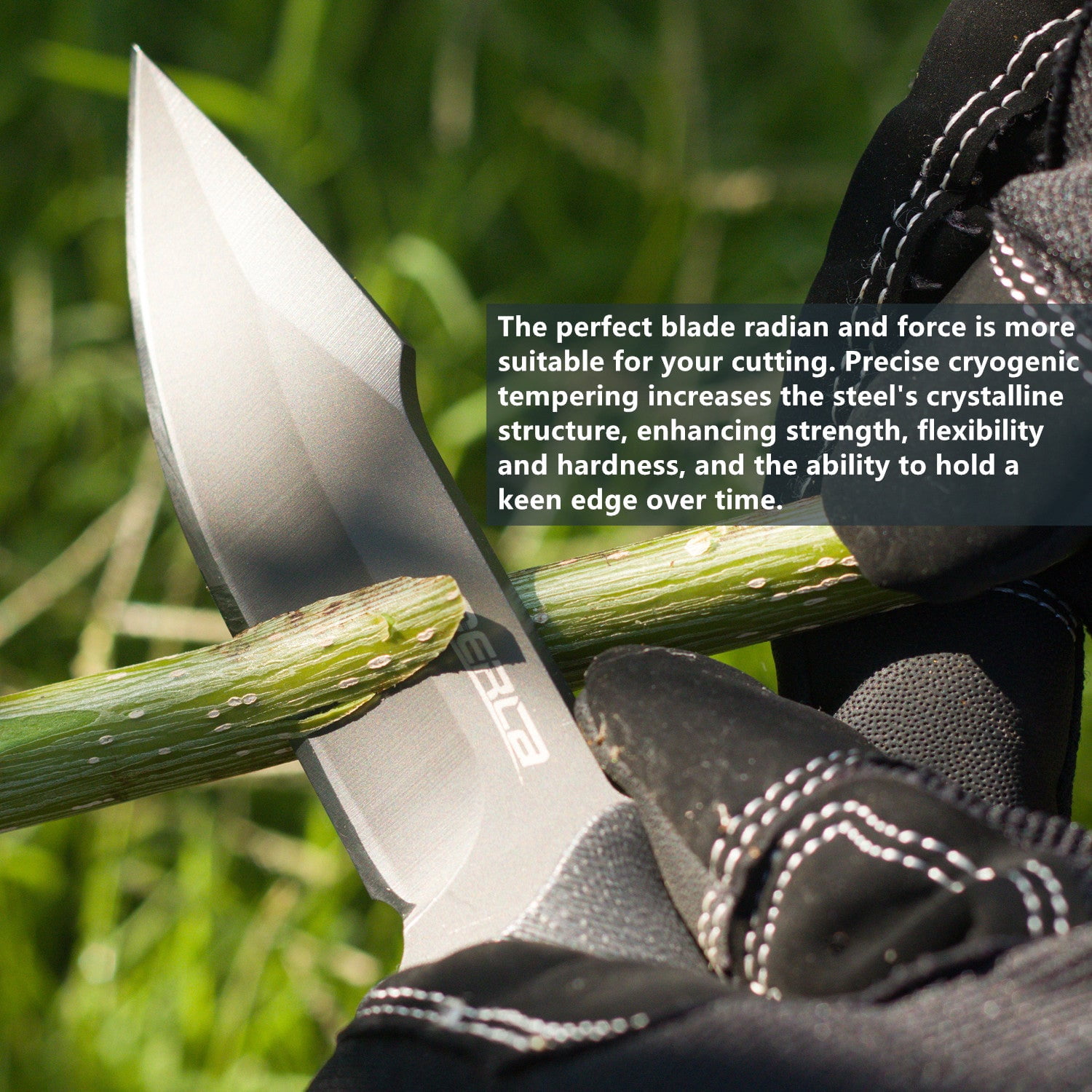 Oerla OLF-1009 Tactical Fixed Blade Knife 3.8 inch Blade with Black G10 Handle