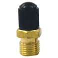 thumbnail image 1 of Automobile Tire Valve Core Tire Valve Tire Pressure Monitoring 1/4 1/8 NPT, 1 of 5