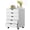 White, variant on Sybels 5-Drawer Rolling Storage Cart, Mobile File Cabinet & Organizer Dresser with Wheels for Home Office, Wood Chest, White