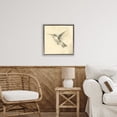 thumbnail image 2 of Stupell Industries Vintage Hummingbird Sketch Gray Framed Floater Canvas Wall Art, design by Petal Prints Design, 2 of 9