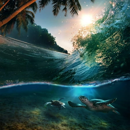 Paradise Surf Sign - Tropical Paradise Template with Sunlight. Ocean Surfing Wave Breaking and Two Big Green Turtles Div Print Wall Art By Willyam Bradberry