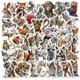 thumbnail image 1 of Paquete de pegatinas vintage con forma de animal de periódico, 50 unidades, de vinilo impermeable, 1 of 2