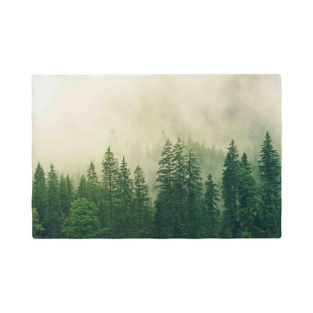 

Placemats Set of 6 Fog Forest Place mats for Dining Table Indoor/Outdoor Cute Heat Resistant Washable Table Mats(18 x 12 )