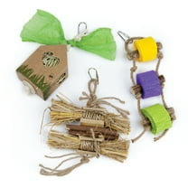 Prevue Pet Products Just Hangin' Small Animal Toy Bundle
