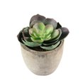 thumbnail image 3 of TABLETREANDS Planta Artificial Verde Para En Oficina Y Escritorio, 3 of 4