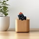 thumbnail image 5 of Lindo Gato Regalos Resina Manzanas Adorables Gatos Y Carbones Bola Monitor Perching Figuras Decorativas, 5 of 6