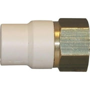 Charlotte Pipe CTS02105L0800HA 0.75 in. Slip x Brass FIP CPVC Transition Adapter