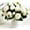 White, variant on ZOELNIC 3PACK Artificial Flowers Silk Peony Rose Real Touch Fake Flowers Single Stem with 5 Heads Vintage Bouquet for Home Wedding Party Decoration Pink & Rose