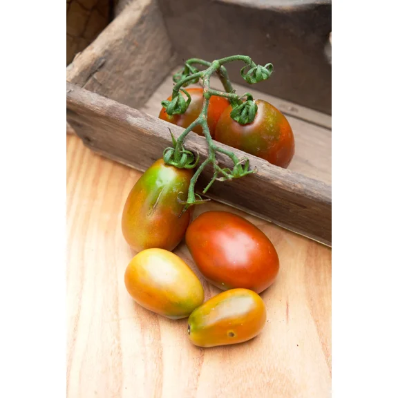 Tsungshigo Chinese Plum Heirloom Tomato Premium Seed Packet   More